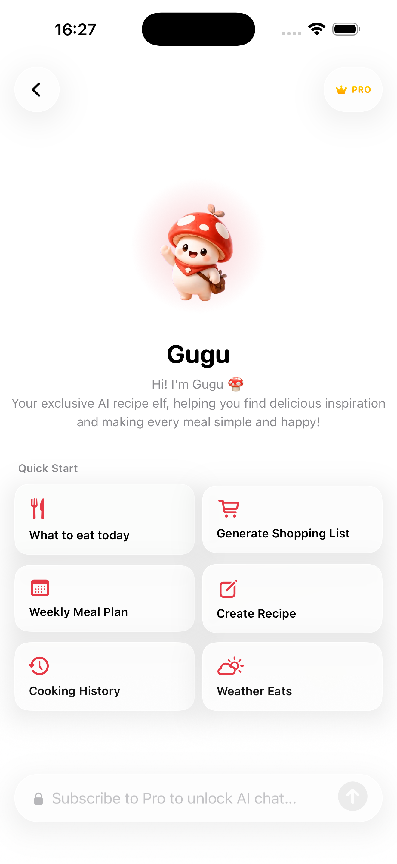 Chef AI Dialog